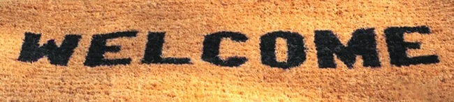 Featured image for Starting a technology career with any degree