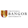 Logo image for Bangor Business School