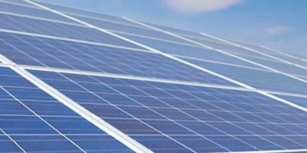 Thumbnail image for Green careers: find a graduate job that helps the environment