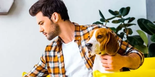 Thumbnail image for Hybrid working and your first job: how to manage the split