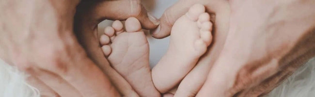 Featured image for Midwife: job description