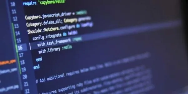 Thumbnail image for Software developer: job description